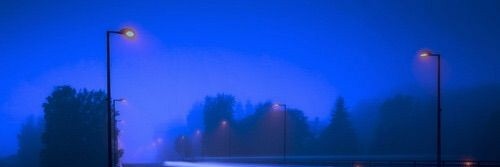 Koa_laaa's profile banner image
