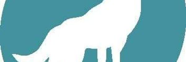 wolvessa Profile Banner