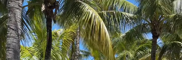 ZohrehGh7 Profile Banner