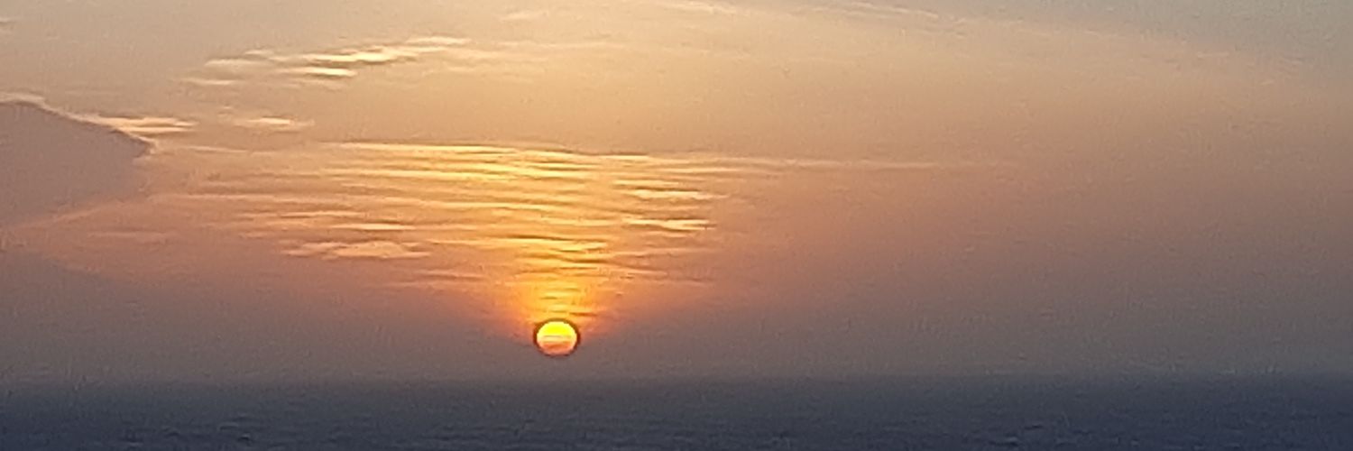 marisolceballos's profile banner image