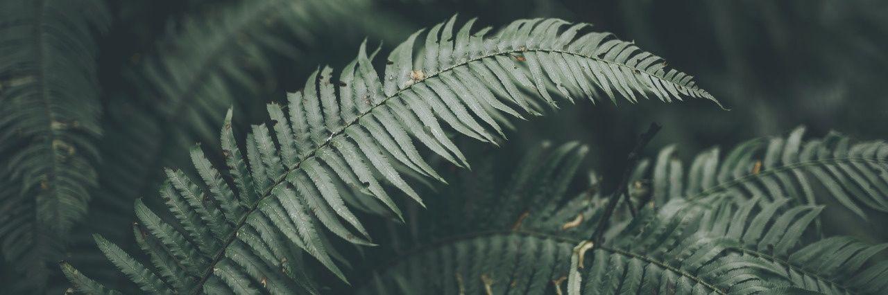 TENIOLAvsLIFE's profile banner image
