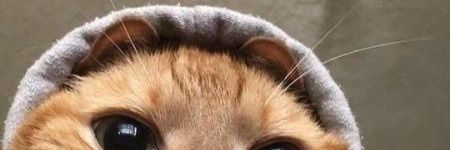 🛵 banner