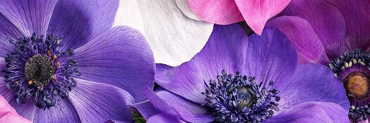 abooof24's profile banner image
