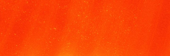 Temi's banner