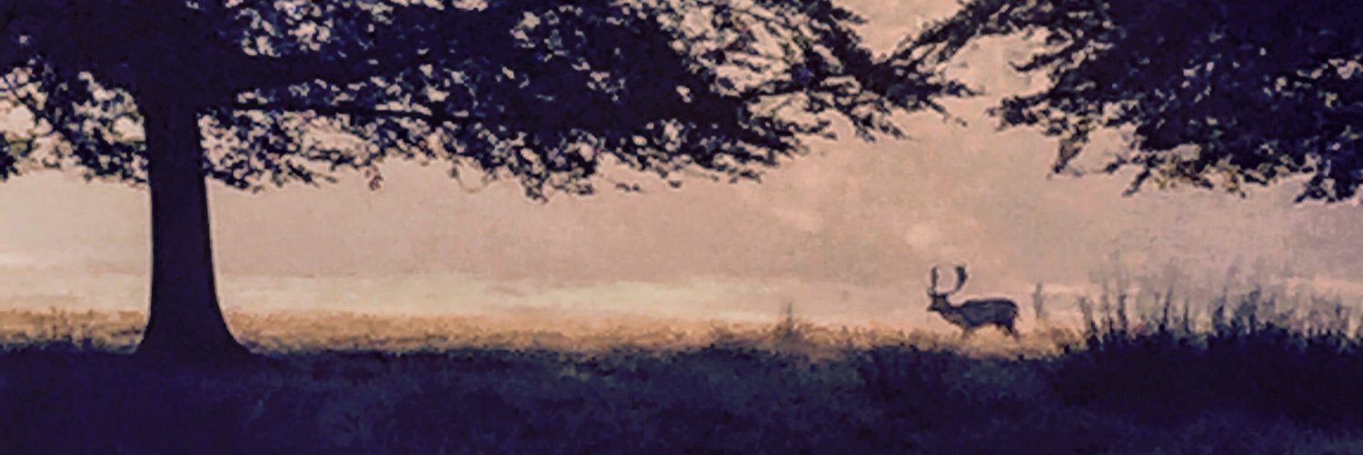 teaching_confes's profile banner image