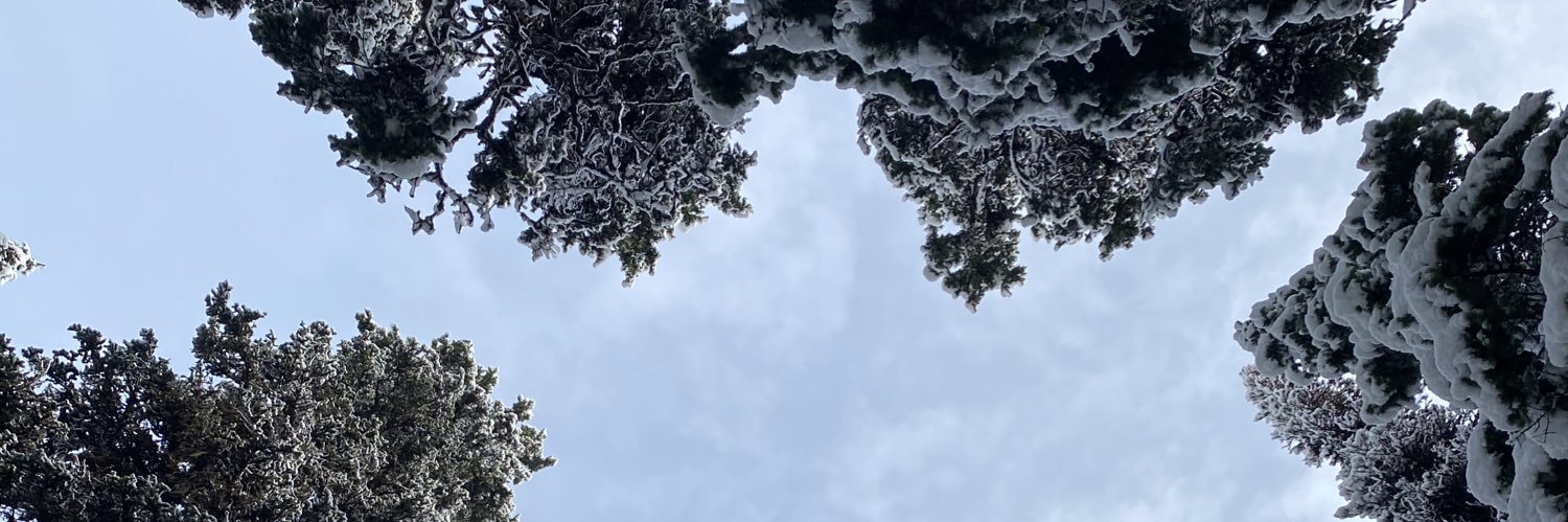 Ms.Quinlan (she/her) banner