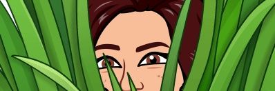 Miss Rodriguez banner