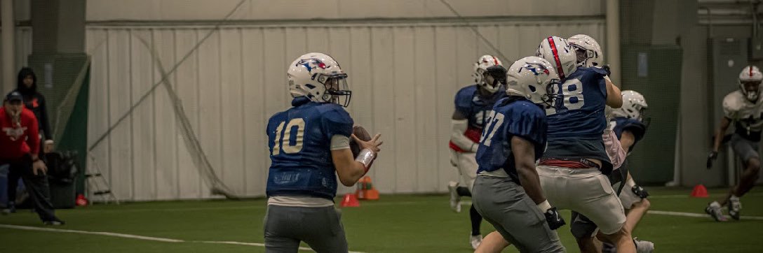 Bryan Johnson banner