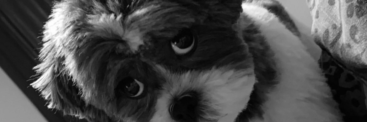 SamSschlieve's profile banner image