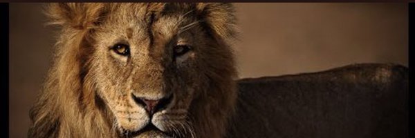 stevenjenkinsJ1 Profile Banner