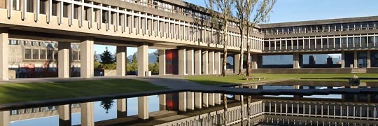 Shannon J Linning banner