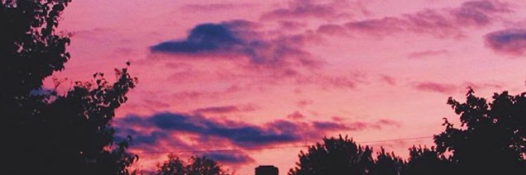 RosaML3's profile banner image