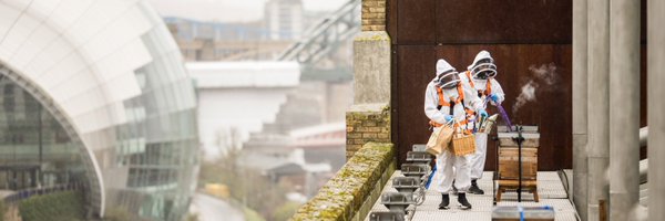 mjrichardson1 Profile Banner