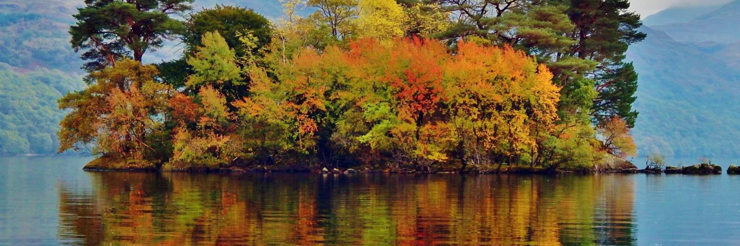 heytraceyonline's profile banner image