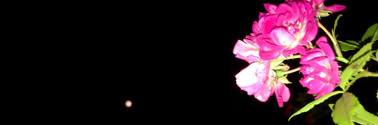 moff_104's profile banner image