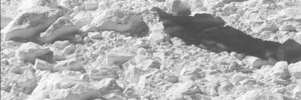 7SURFER7SILVER7 Profile Banner