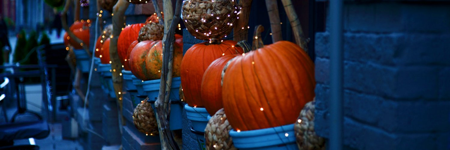 fraupoltergeist's profile banner image