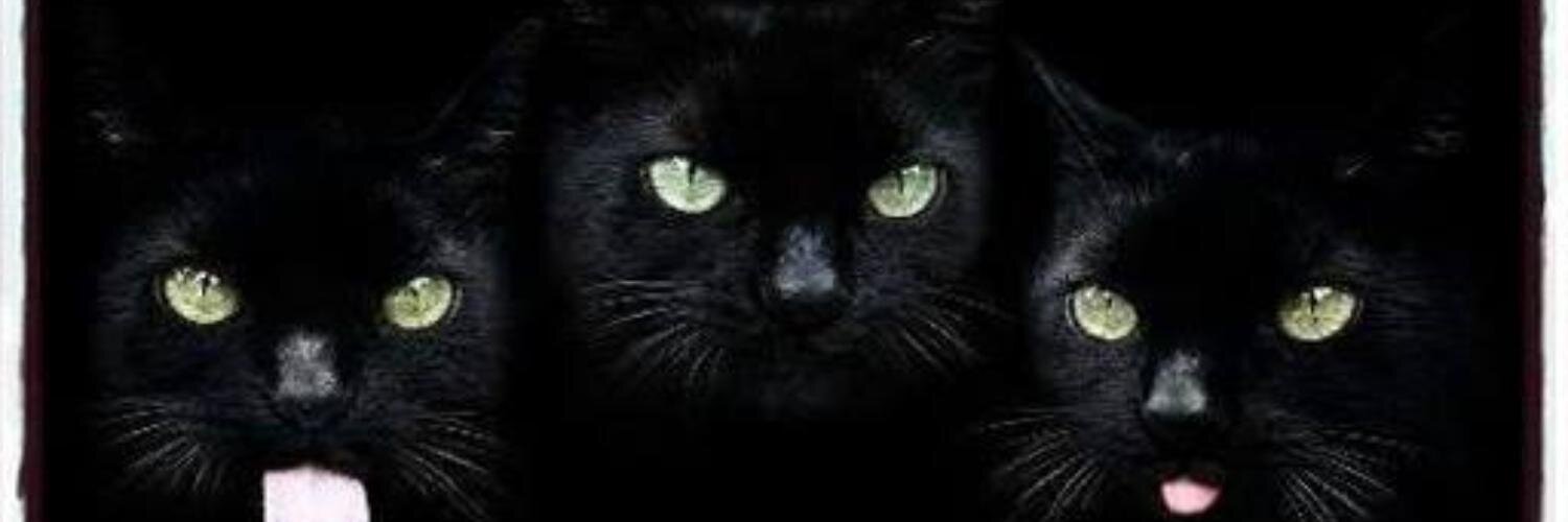 🤩Witchywoman🤩's banner