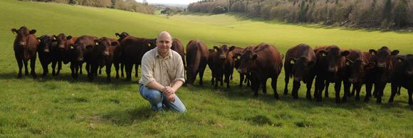 GoodwoodFarm's profile banner image