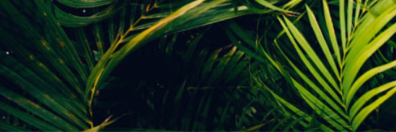valentinamago's profile banner image
