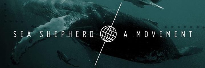 TWITTEARTHTIME's profile banner image