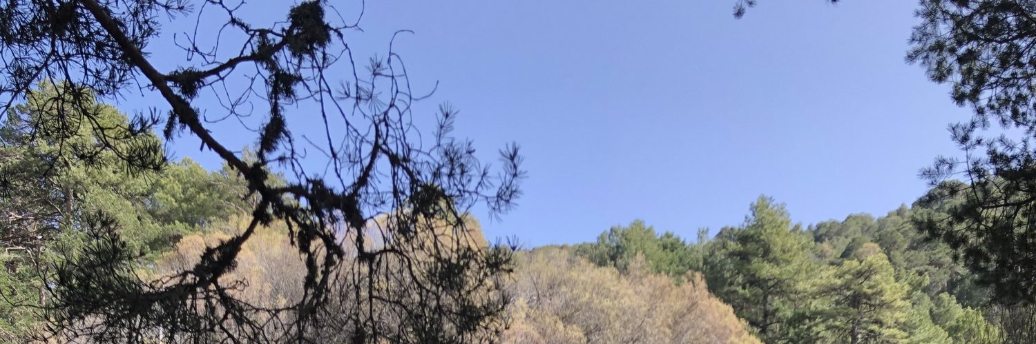AitorLMiranda's profile banner image