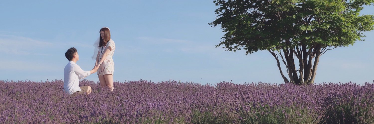 nemoSAINT's profile banner image