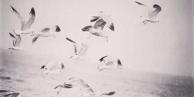 Almthn2's profile banner image