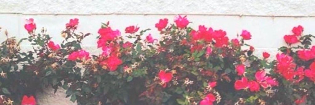 MA71D88's profile banner image