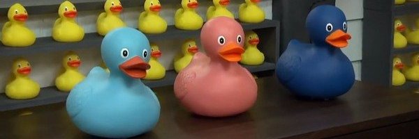 ScreenDuckie's profile banner image