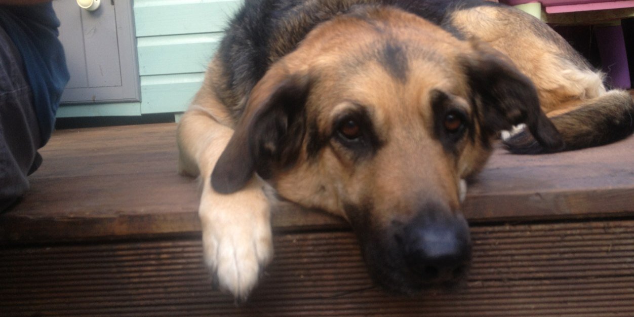 Cllr Karl Denning banner