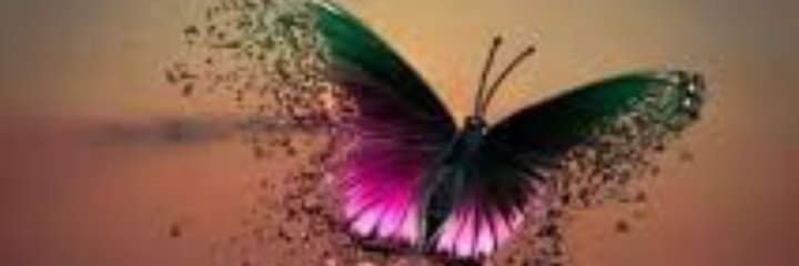 katymom2day's profile banner image