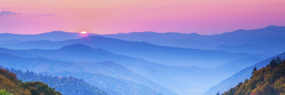 WNC Anarchist banner