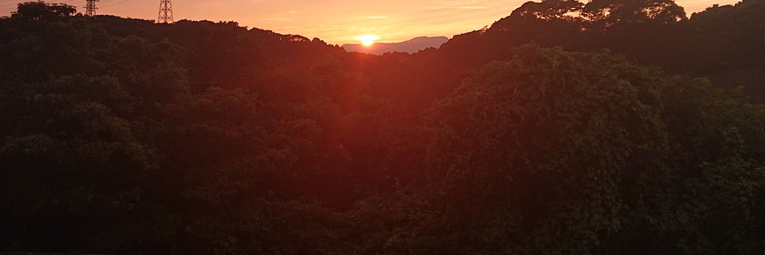 pikkonpi7's profile banner image