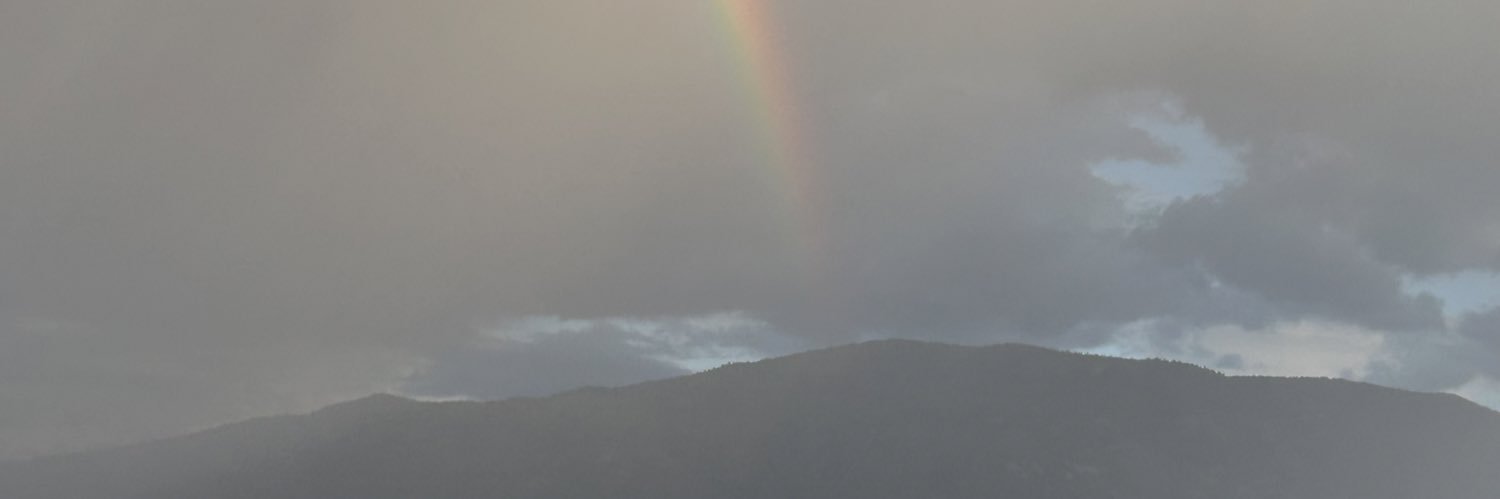 TreenaWood's profile banner image