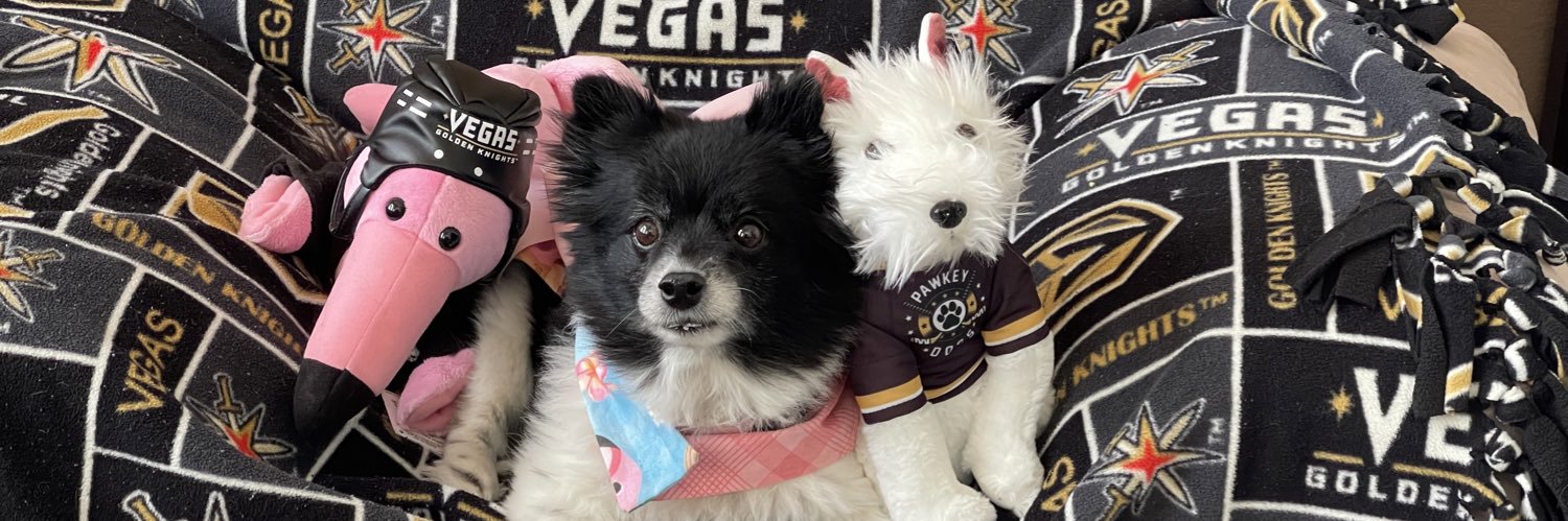 x-Lola The VGK Panda Pup ❤️🐼🐶 banner
