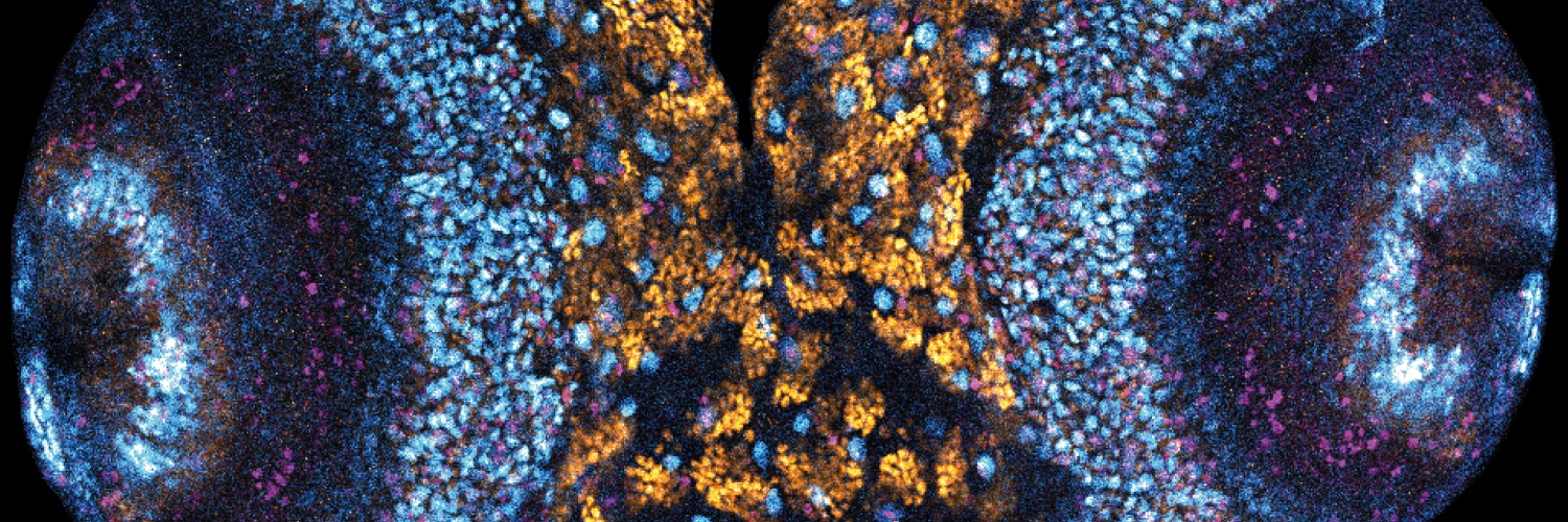Giet Lab banner