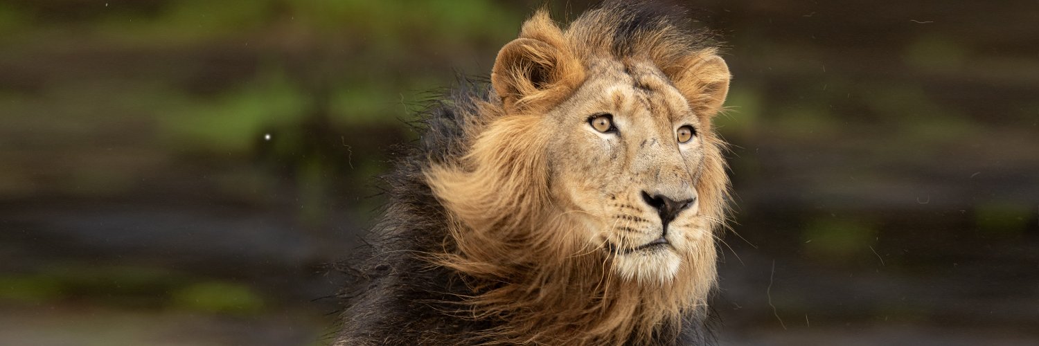 Dr Vimal Hemani | drhemani.eth / drhemani.tez banner