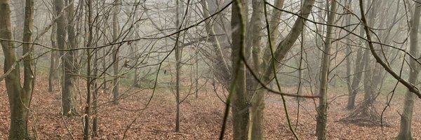 JMcCloskey_RE Profile Banner