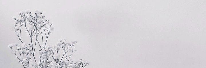 Winona banner