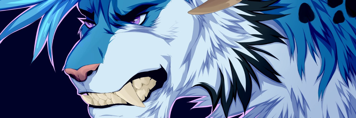 BookerMeister's profile banner image