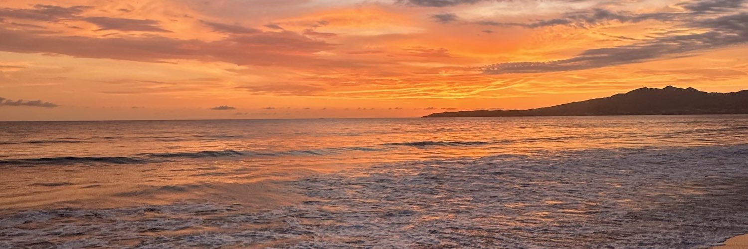 pamalvic's profile banner image