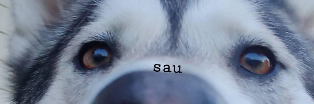Liisu banner