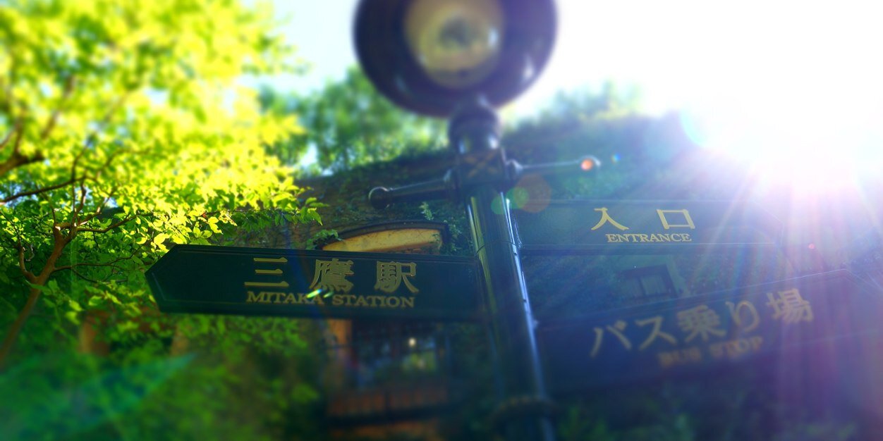Taloombon's profile banner image