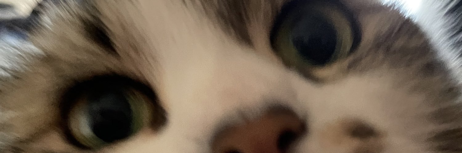 バクスレイ🍃 banner