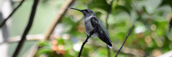 jaybrigitte Profile Banner