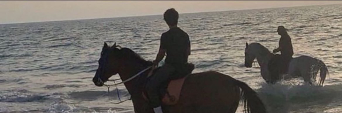 assllly's profile banner image