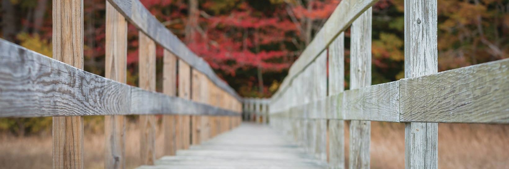 South Shore Living banner