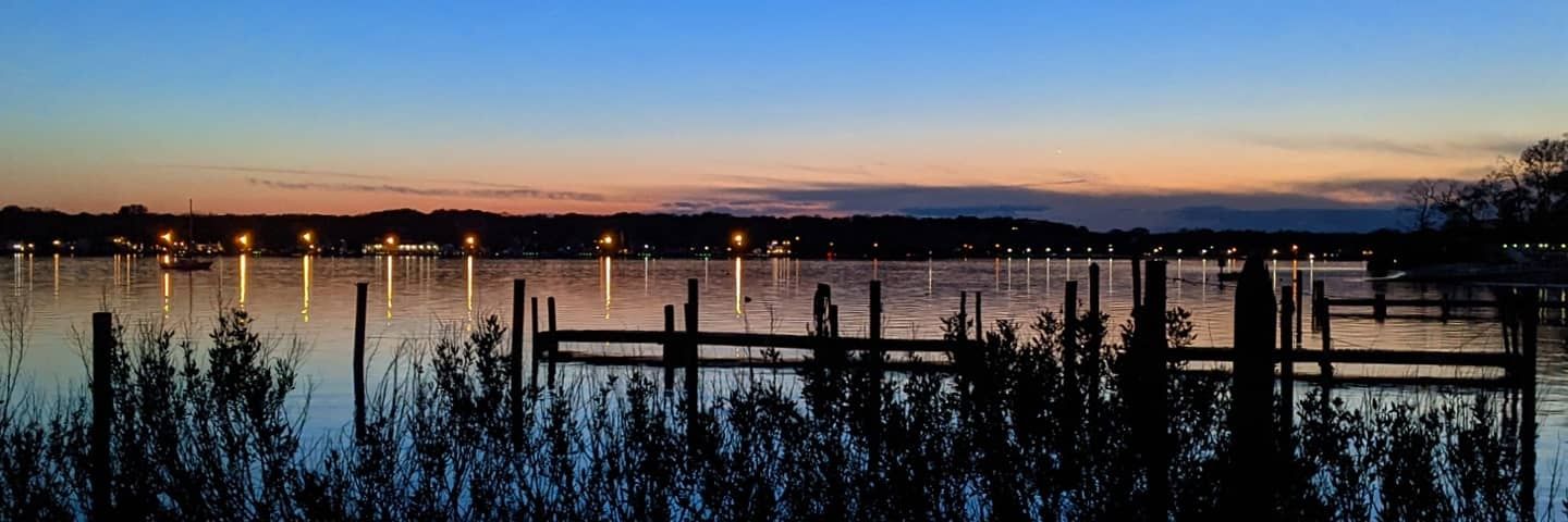 🏳️‍⚧️🏳️‍🌈🏳️‍⚧️ Fin 🦈💨 banner