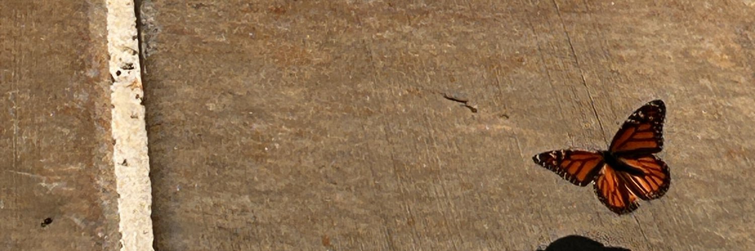 subbylitty's profile banner image